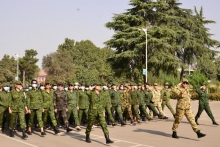 Тарминҳои низомӣ