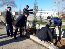 Маъракаи ниҳолшинонӣ дар Академияи ВКД