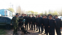 Шиносоии шунавандагони Академияи ВКД бо хадамоти кинологӣ