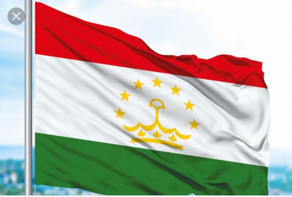 WhatsApp Image 2025-11-18 at 17.23.52