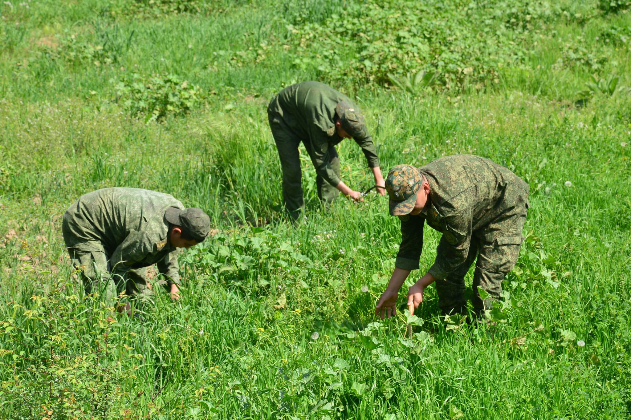 671756622 2125608461624519 6631091505451652798 n